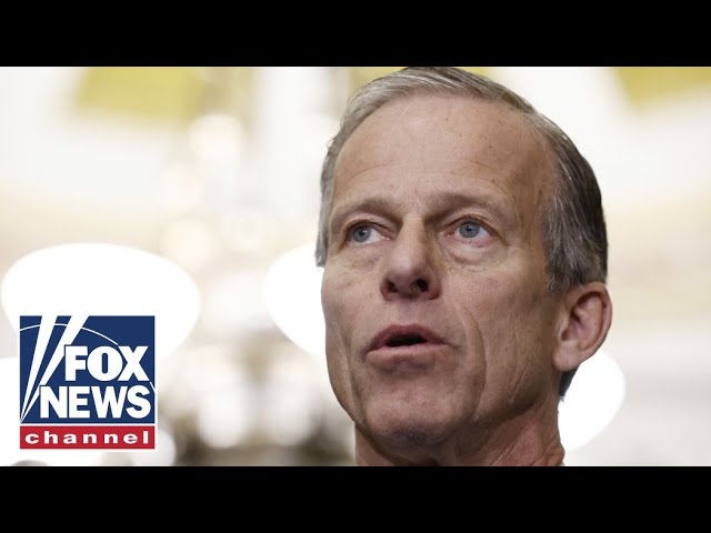 ⁣Live: Senate Republicans speak after electing Thune as leader