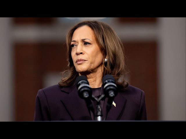 ⁣Democrats play blame game after Kamala Harris' defeat