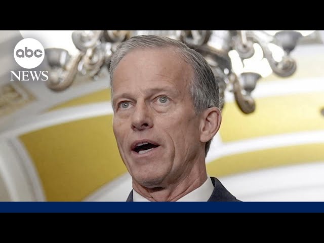 ⁣John Thune elected Senate majority leader: Sources