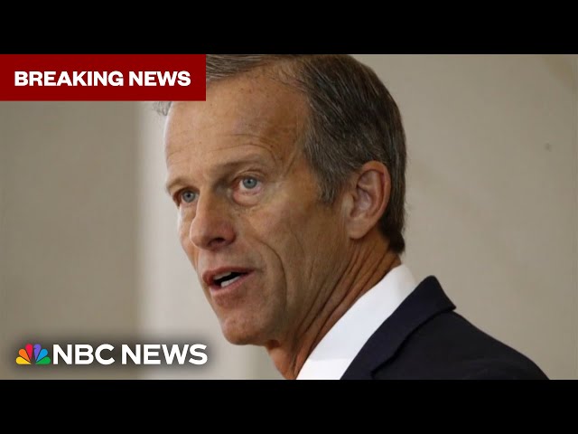 ⁣Senate Republicans elect John Thune as majority leader