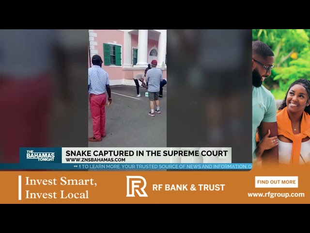 ⁣Snake Captured In Supreme Court