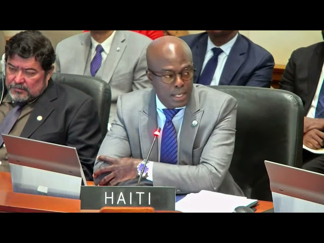 ⁣Entèvansyon reprezantan Ayiti nan OEA sou pwojè rezolisyon pou transfòme MMSS la an yon fòs Onizyèn