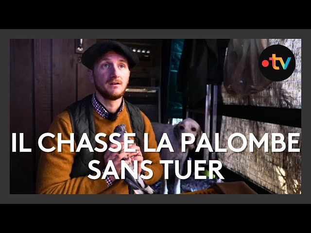 ⁣Chasse à la palombe sans fusil : le savoir-faire de Pepe