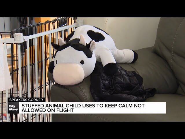 ⁣Autistic child’s weighted stuffed animal not allowed on recent flight