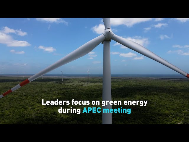 ⁣Leaders focus on green energy during APEC meeting