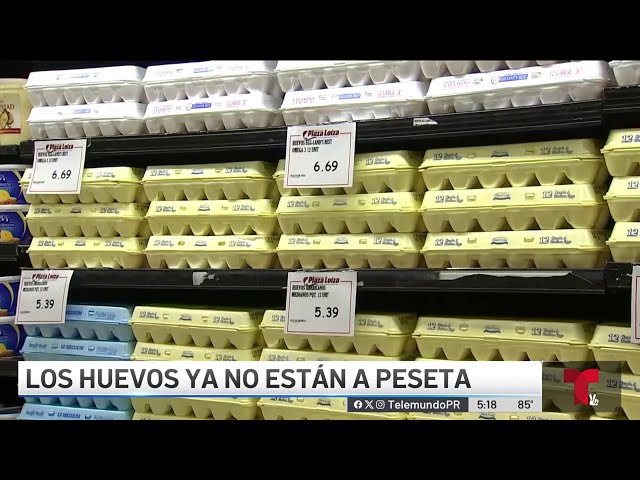 ⁣Dramático aumento en el precio de la docena de huevos