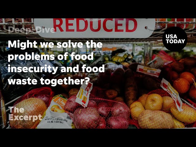 ⁣Might we solve the problems of food insecurity and food waste together? | The Excerpt