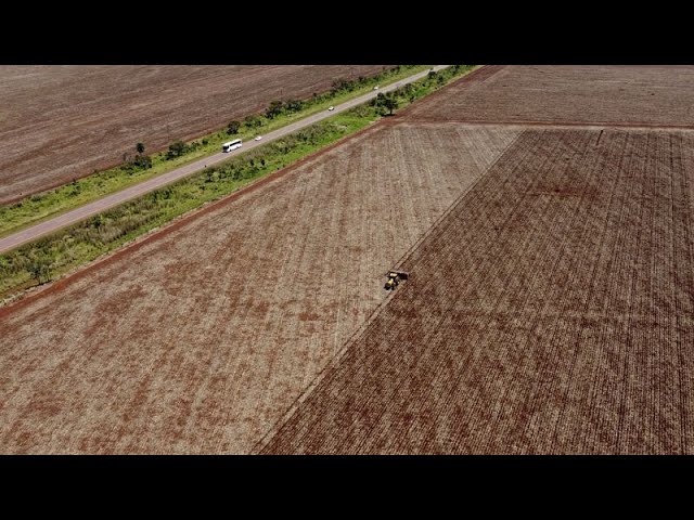 ⁣UE-Mercosur : des agriculteurs européens s'insurgent contre un accord imminent