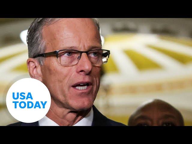 ⁣Who is the new Senate majority leader? | USA TODAY