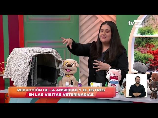 ⁣Aprende a controlar el estrés de tu mascota al visitar el veterinario