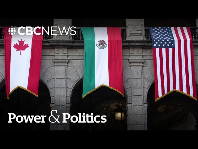 ⁣Calls to kick Mexico out of trade deal ‘unfortunate’: former negotiator | Power & Politics