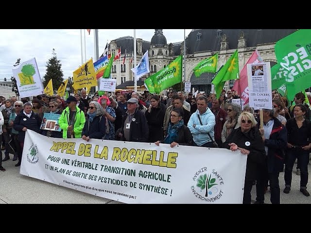 ⁣Pesticidas en Francia: alarmantes casos de cáncer infantil en zonas agrícolas