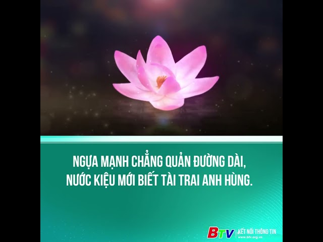 ⁣Ngựa mạnh chẳng quản đường dài, nước kiệu mới biết tài trai anh hùng