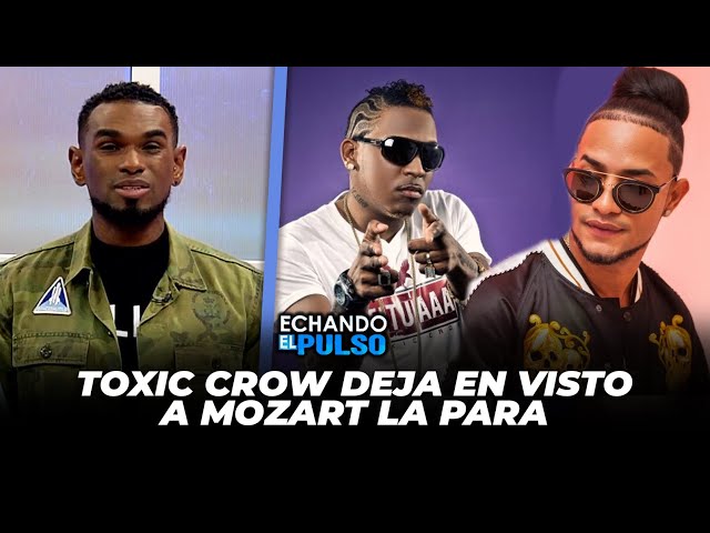 ⁣Toxic Crow deja en visto a Mozart La Para luego de este saludarlo | Echando El Pulso