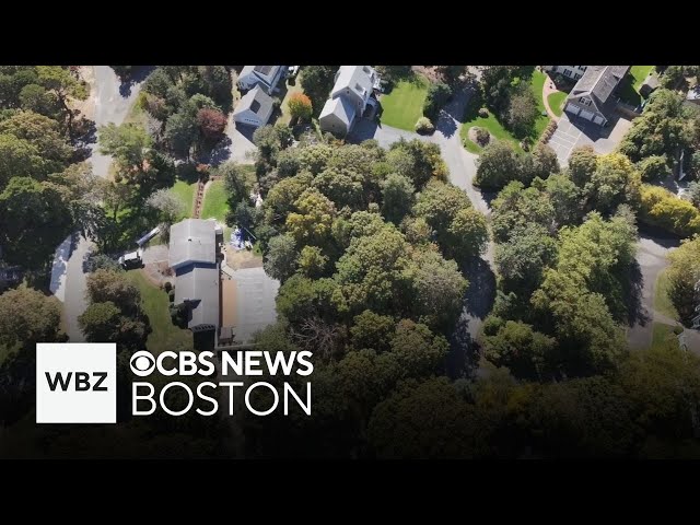 ⁣I-Team discovers fraudsters targeting elderly couple's Cape Cod property