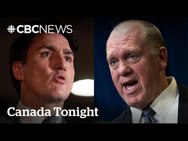 ⁣Canada has neglected border security for a decade: ex-CBSA agent | Canada Tonight