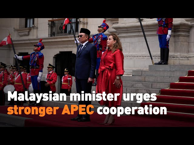 ⁣Malaysian minister urges stronger APEC cooperation