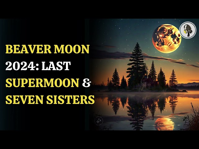 ⁣Beaver Moon 2024: Final Supermoon & 'Seven Sisters' Star Cluster | WION Podcast