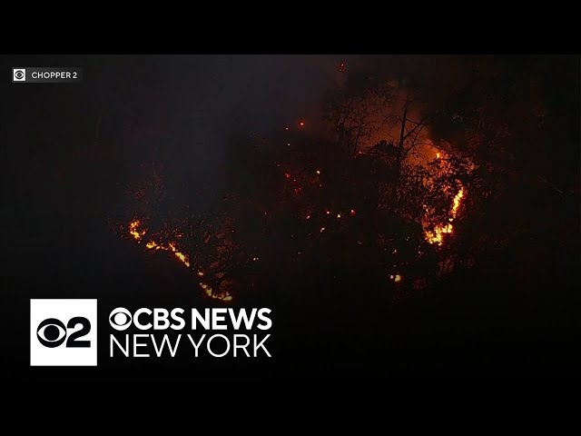 ⁣Brush fire breaks out in Upper Manhattan park