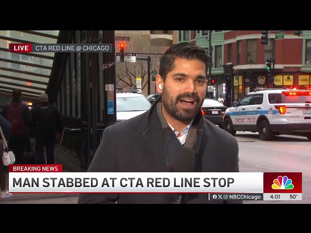 ⁣Man stabbed at CTA Red Line station in Chicago