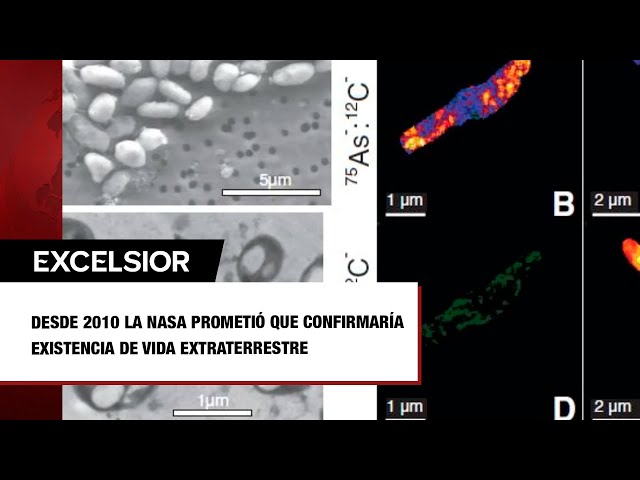 ⁣Desde 2010 la NASA prometió que confirmaría existencia de vida extraterrestre