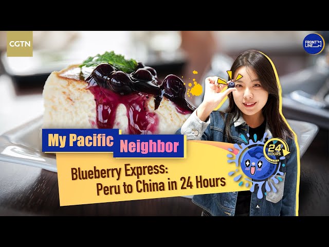 ⁣Blueberry Express: Peru to China in 24 Hours