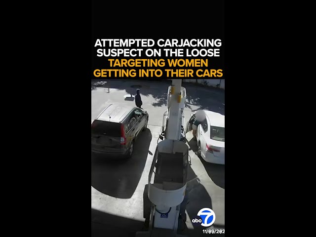 ⁣Police search for violent carjacking suspect