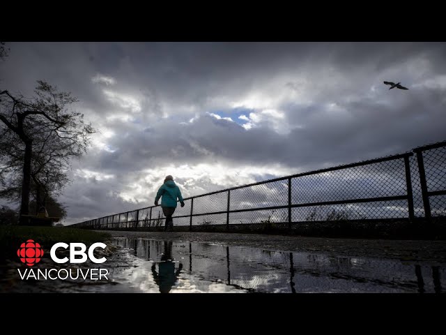 ⁣Rain, snowfall warnings issued as fall storm blows through B.C.