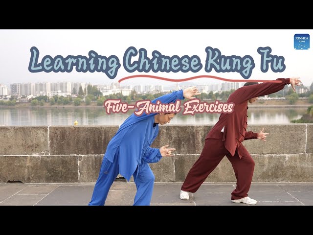 ⁣Learning Chinese Kung Fu | Five-Animal Exercises