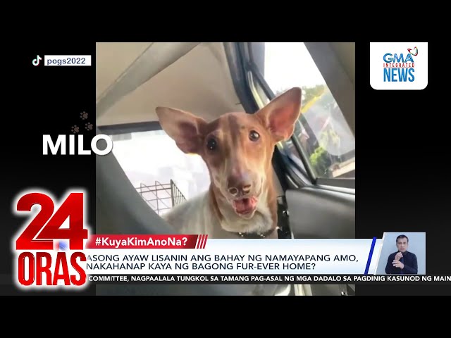 ⁣Asong ayaw lisanin ang bahay ng namayapang amo, nakahanap kaya ng bagong fur-ever home? | 24 Oras