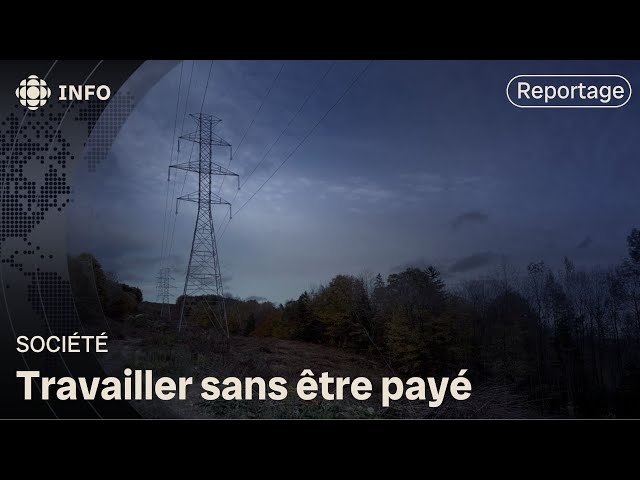 ⁣Des fournisseurs d’Hydro-Québec cassent les prix aux dépens des travailleurs