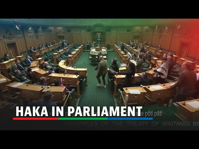 ⁣New Zealand lawmakers stage haka to protest indigenous treaty bill