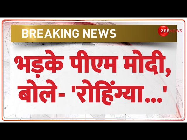 ⁣PM Modi News: पीएम मोदी ने Congress के ऐलान पर उठाए सवाल | Rohingya | Maharashtra Election Update