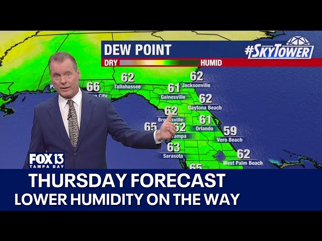 ⁣Tampa weather | More warmth, lower humidity