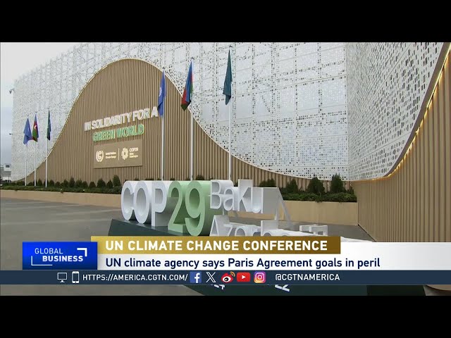 ⁣Global Business:  Push for Climate Finance at COP29 Climate Conference