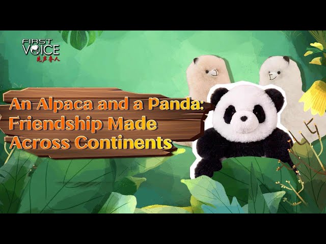 ⁣An Alpaca and a Panda: Friendship made across continents