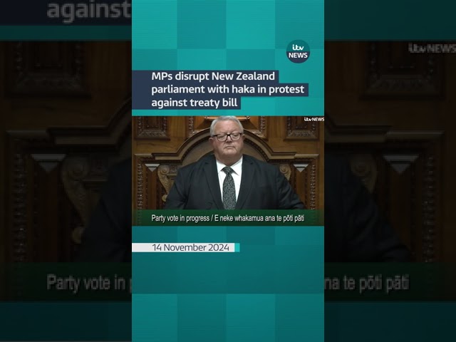 ⁣MPs disrupt New Zealand parliament with haka in protest against treaty bill