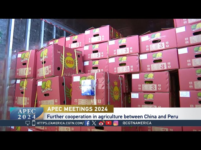 ⁣Global Business:  Chinese Investment in Peru's Agribusiness Sector