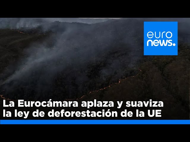 ⁣La Eurocámara aplaza y suaviza la ley de deforestación de la UE