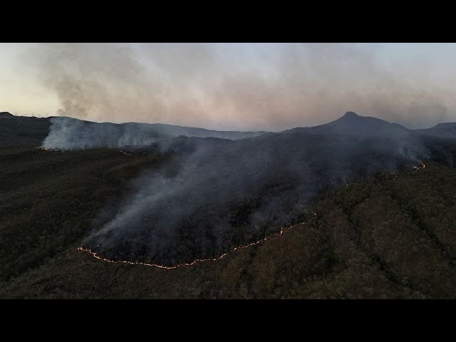 ⁣La loi sur la déforestation de l'UE reportée et assouplie par le Parlement européen