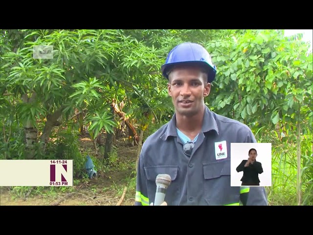 ⁣Cuba: Experiencia de jefe de brigada de linieros de la Isla de la Juventud