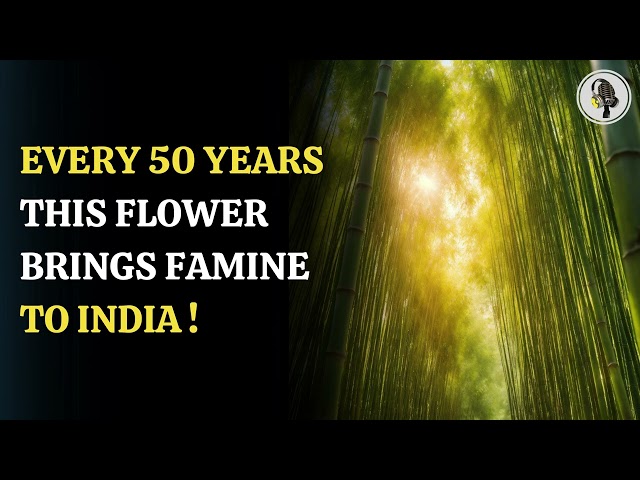 ⁣Every 50 Years This Flower Brings Famine To India ! WION Podcast