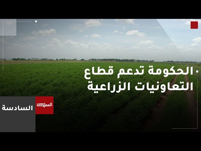 ⁣السادسة | الحكومة تعمل حاليا على تطوير قطاع التعاونيات الزراعية ودعمها