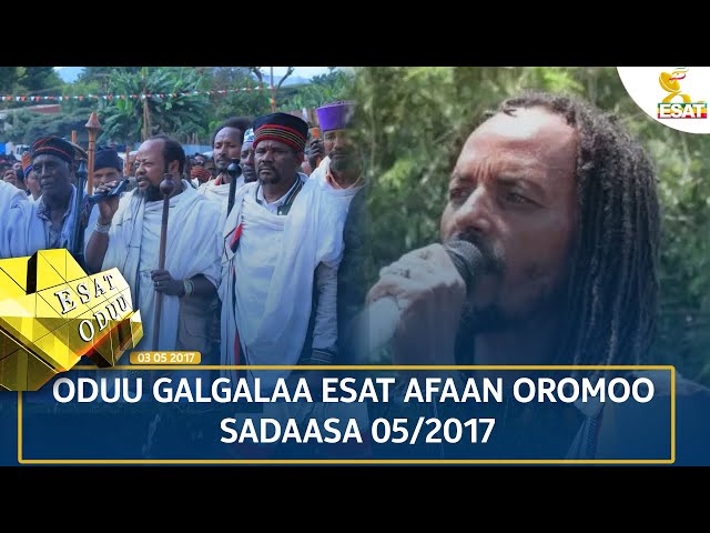 ⁣Ethiopia - ESAT ODUU 14 NOVEMBER 2024