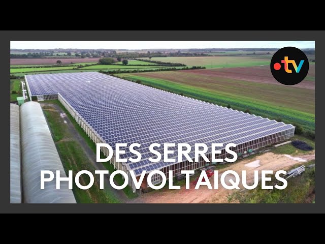 ⁣Des serres photovoltaïques font le bonheur d'un maraîcher à Pamproux