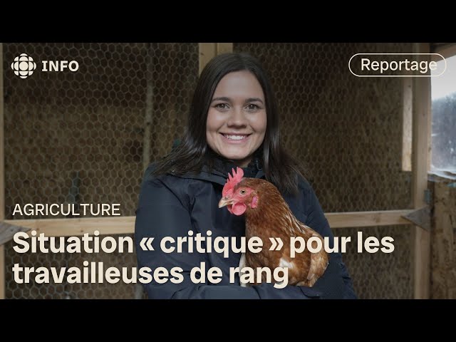 ⁣Hausse des demandes d’aide psychologique chez les agriculteurs