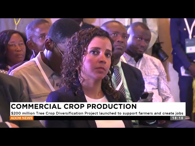 ⁣Commercial CropS: $200 million Tree Crop Diversification Project launched to support farmers.