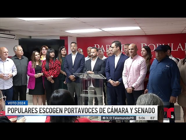 ⁣Luis Javier Hernández y Héctor Ferrer serán los portavoces del PPD en Legislatura