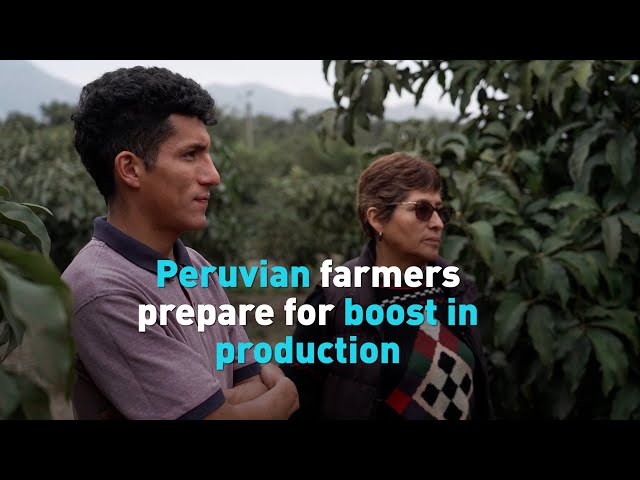 ⁣Peruvian farmers prepare for boost in production