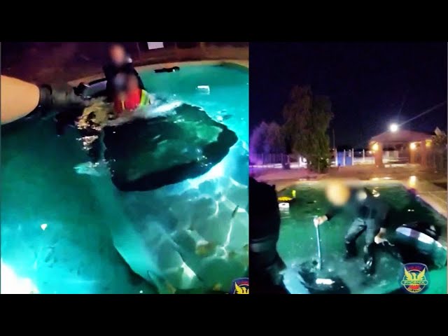 ⁣Arizona: El dramático rescate de un hombre que cayó a una piscina dentro de su auto